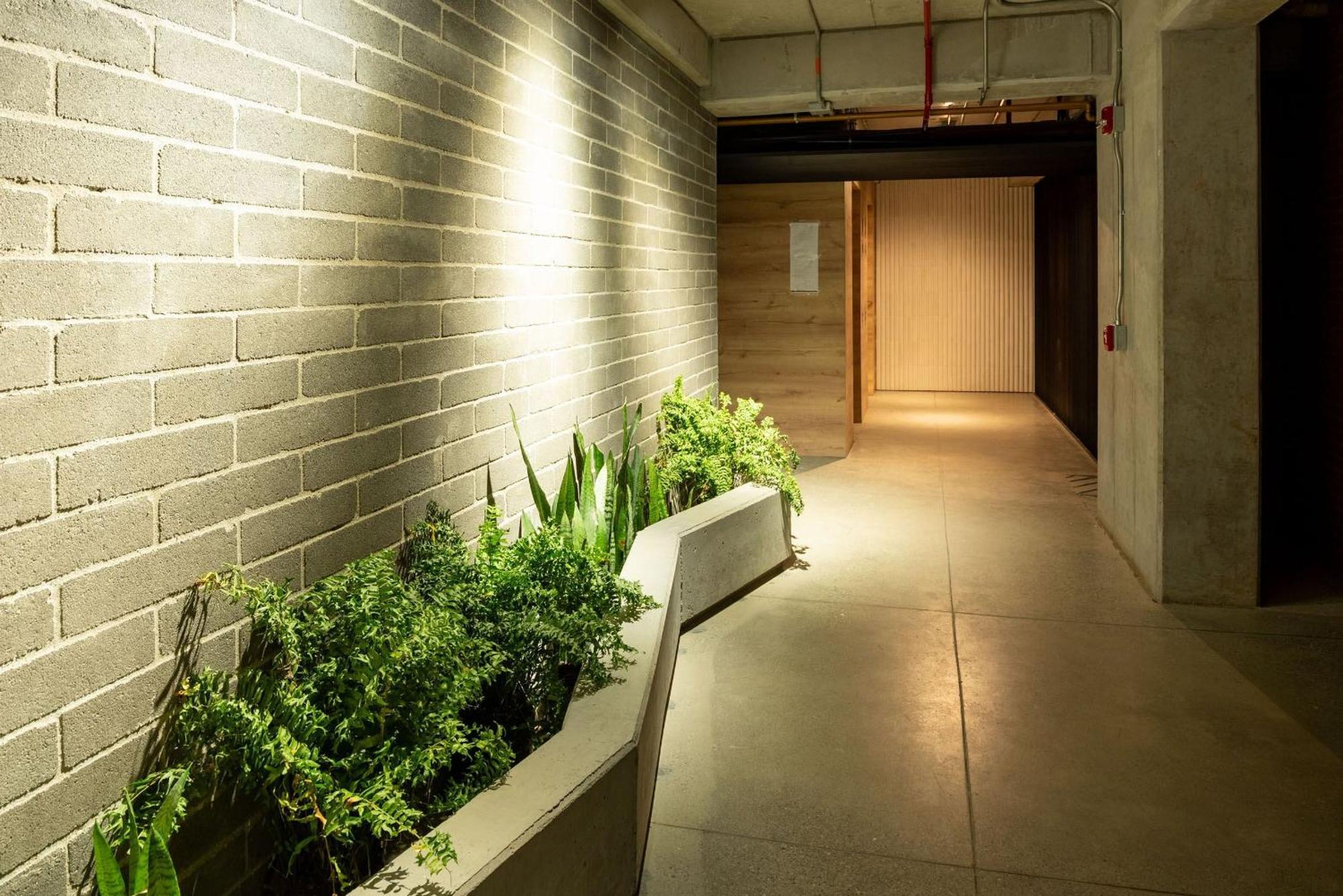 Loft Exclusivo En La Candelaria